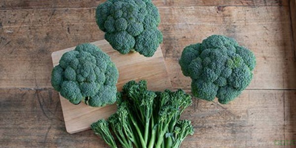 Good.for.you.broccoli.600[1].jpg